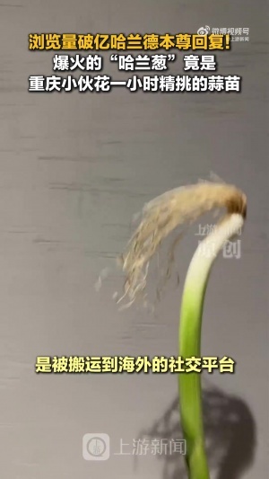 世界杯直播_世界杯在线直播_2026世界杯无插件直播